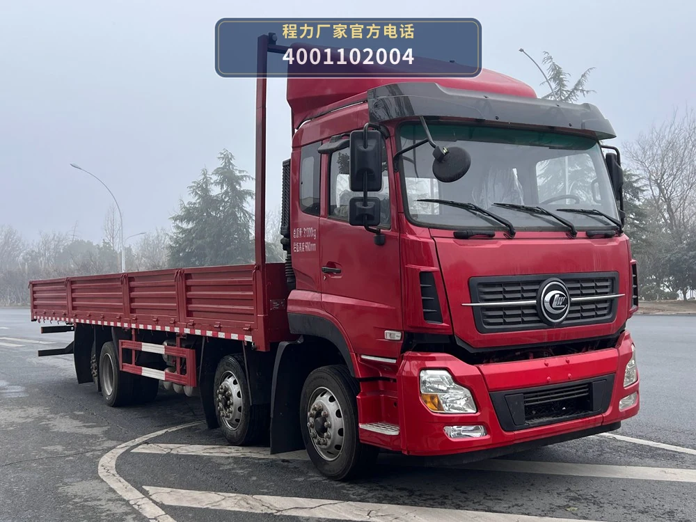 CL1312LDS6TX型程力牌载货汽车整车图