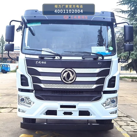 CLW5252TDY6CD型程力威牌多功能抑尘车 产品细节图